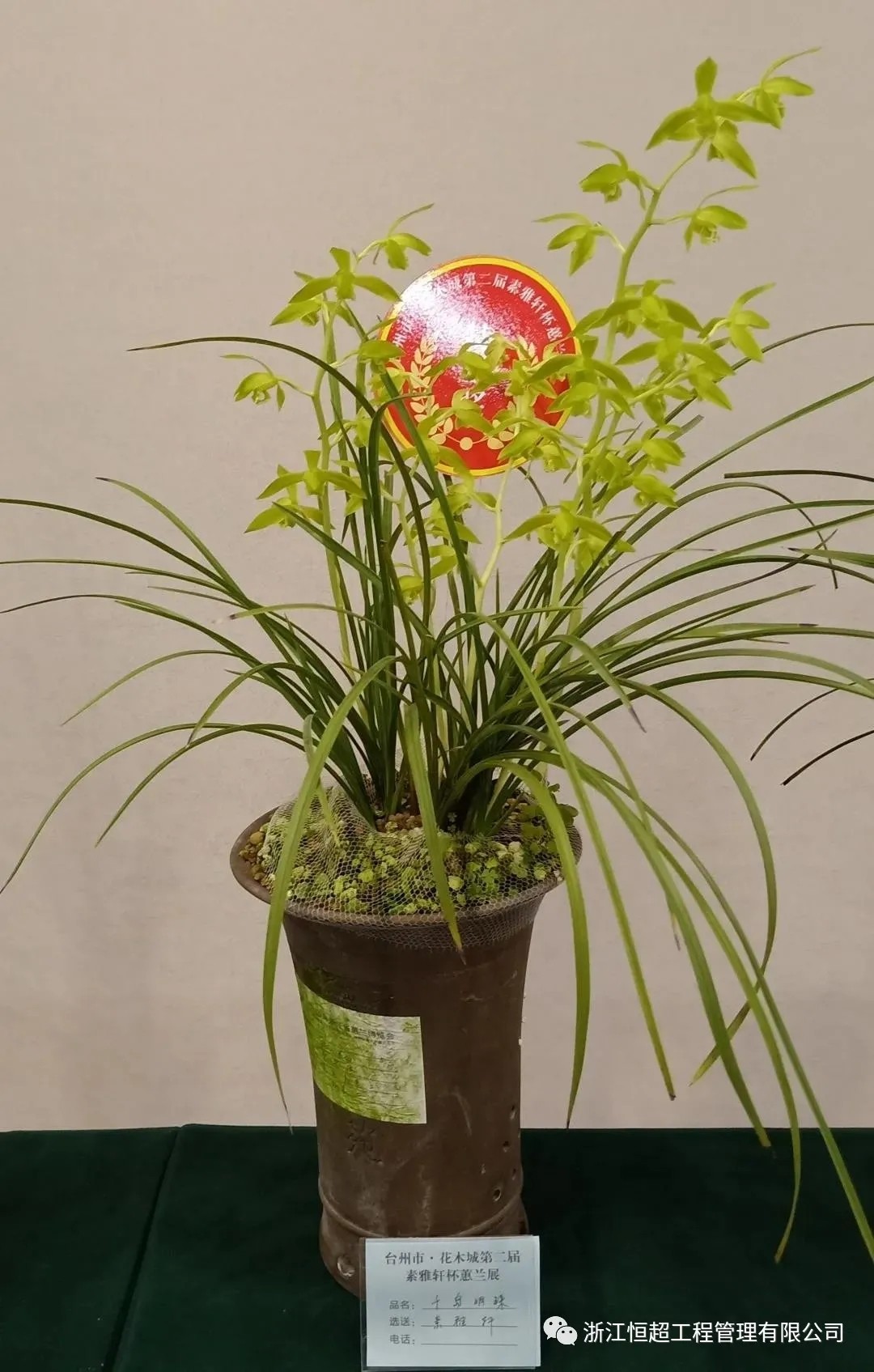 640.webp (2).jpg